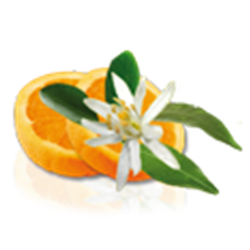 Camylle Velours de Spa Fleur D'Oranger