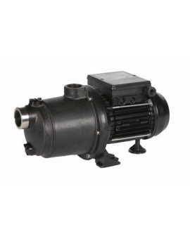 Surpresseur Boost Rite Pentair 1.5 CV Mono